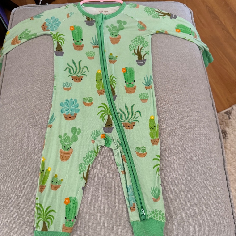HTF Succulents Little Sleepies Zippy 3-6mo